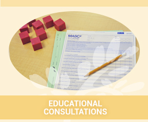 Educational Consultations