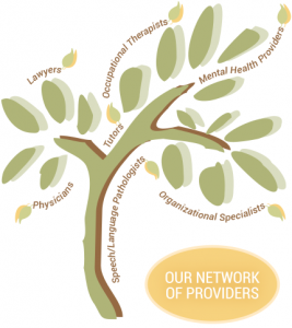 Our Network of Providers