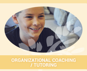 Organizational Coaching/Tutoring